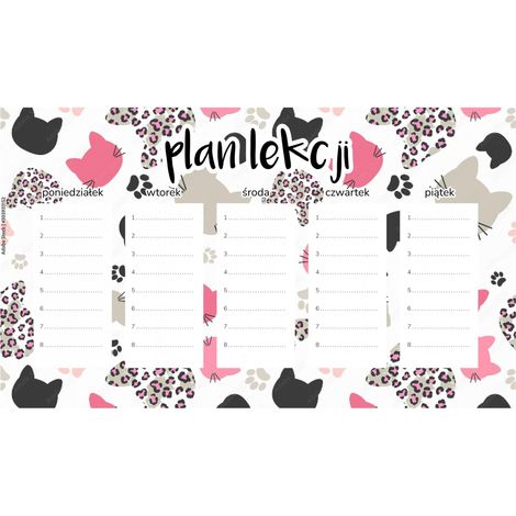 Plan de cours magnétique pour enfants : Visages de chat 45 x 26 cm