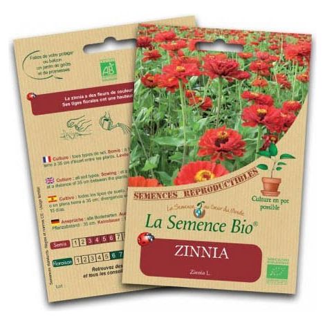 Graines bio Zinnia - La Semence Bio (1/2)