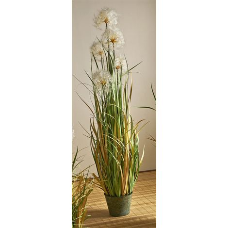 Plante de pissenlit 150 cm. 150 cm (1/3)