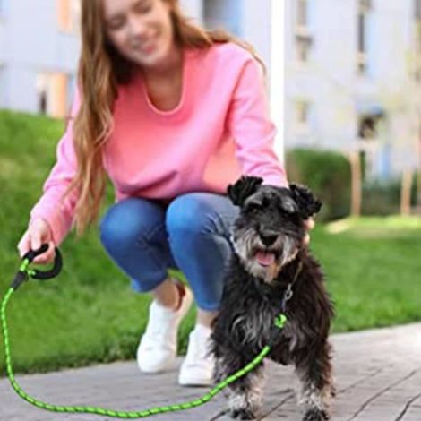Laisse Chien Corde, 1.5m Laisse Forte pour Chien pour Chiens de Moyenne et Grande Taille, - vert (1/4)