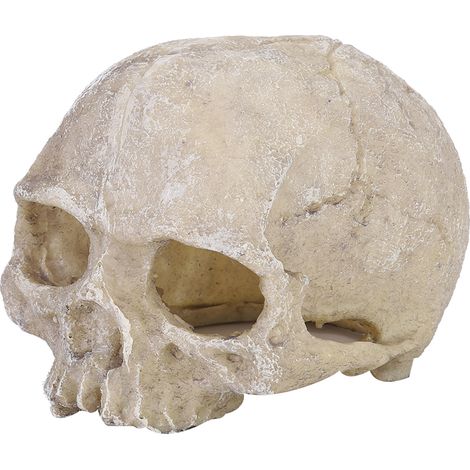 Schädel aus Kunstharz für Reptilien-Terrarien, Skorpion- und Spinnen-Aquariendekoration, Höhlenornament