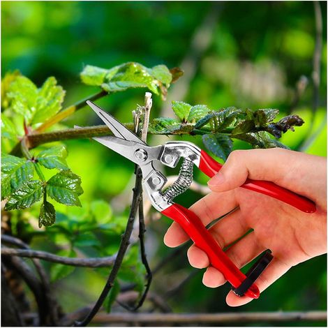 Sécateur à Fleurs Bonsai Plantes. Ciseaux pour Fleuriste et Jardinage Colibri a lame Longue en acier petit