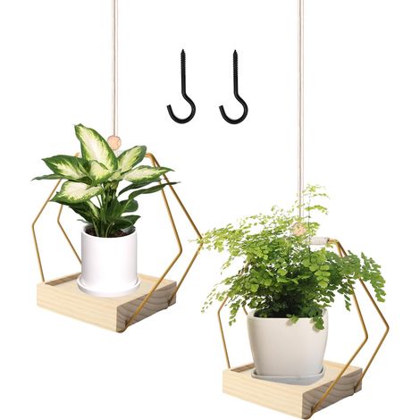 2 Pièces Suspension Plante Intérieure, Pot Suspendu Plant Interieur (1/5)