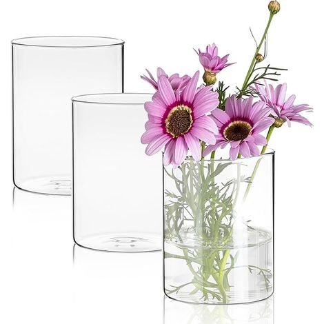 vases cylindriques en verre décoratifs minimalistes et modernes transparent pour décoration de table salon chambre à coucher mariage anniversaire salle de bain (1/5)