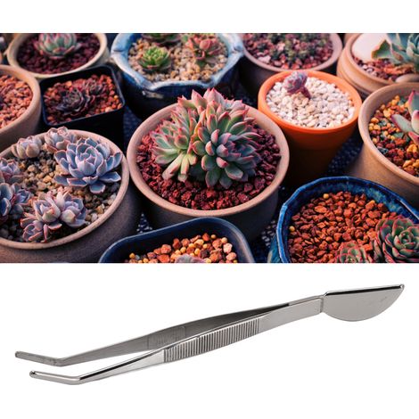 Couteau en acier inoxydable en forme de croissant pour ameublir la terre et rempoter les bonsaïs, pince à planter et rempoter les plantes succulentes (type courbé) (1/5)