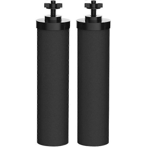 Élément filtrant Berkey Black Natural pour la purification de l'eau (2 pièces)