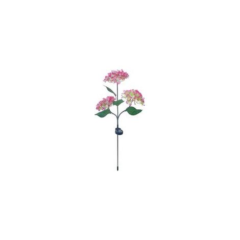 lampe solaire de jardin (rose), jardin (1/5)