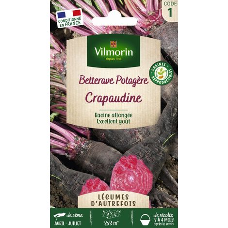 Vilmorin Betterave Potagère Crapaudine - Légumes d'Autrefois (1/2)