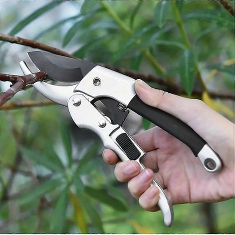 Sécateur pour mains fragiles, pour femmes et hommes, sécateur robuste, cisaille à jardin pour mains arthritiques, cisaille à jardin pour le jardinage, rosiers-AquaForge (1/5)