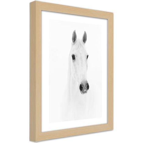 Quadro con cornice, Cavallo grigio - 20x30 (1/5)