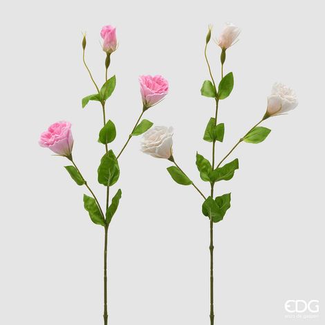 EDG Enzo De Gasperi Lisiantus Ramo con Foglie Ass. H 71 Cm D 10 Cm Pianta Artificiale Colore Bianco o Rosa1 Pz