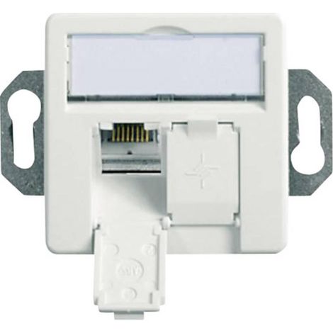 Telegärtner J00020A0503 toma de red empotrable blanca