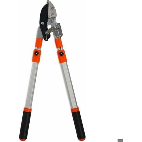 Coupe-branches télescopique à crémaillère – Aluminium – Longueur 60 à 100 cm – Coupe jusqu'à 5 cm – Lame en acier SK5 avec revêtemen (1/5)