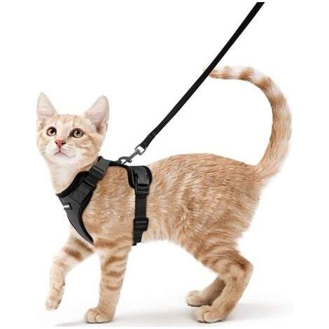 Harnais Chat Petit Chien Laisse Harnais Chaton Réglable Noir S Collier Harnai Chat Refléchissant Gilet Respirant pour Lapin, Chat Européen, Maine Coon, Persan, Attache Dessus avec Laisse-Enso (1/5)
