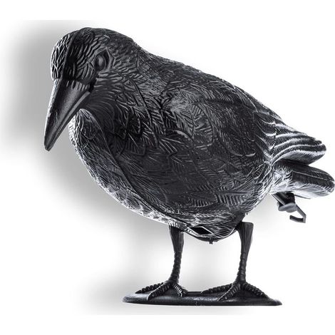 Schwarze Plastikkrähe, effektive Vogelscheuche zur Abwehr von Vögeln und zum Schutz Ihres Gartens, Balkons und Hauses vor Tauben (1 Stück) (1/5)