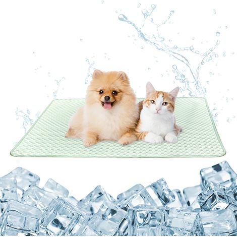 Tapis Rafraîchissant Chien Chat, 60 x 45cm Rafraîchissant Coussin Chien, Respirant Lit pour Chiens, Tapis Chat en Soie Glacée Conçu Spécialement pour l'Été pour Maison, Voiture et Voyages (1/5)