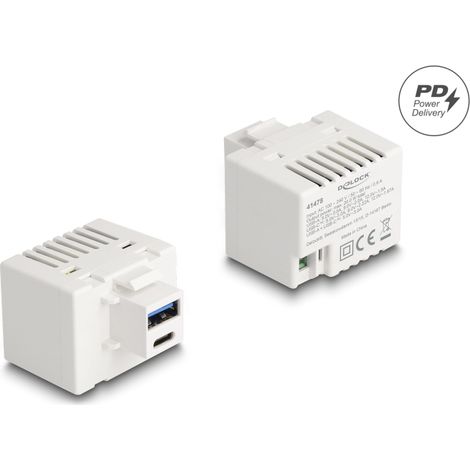 Delock MÃ³dulo Keystone con puerto de carga USB Tipo-A y USB Type-Câ¢ PD 20 W blanco