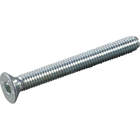 Tornillo M6x55 BM5001R AL-KO AK405128
