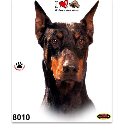 Adesivi Stickers Medi Cane Dobermann 13,5 x 16 cm (1/4)