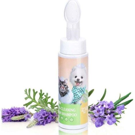 Shampoing sec mousse pour animaux - PZCC - 250 ml - Parfum lavande - Pour chiens, chats et lapins - Hypoallergénique (1/4)