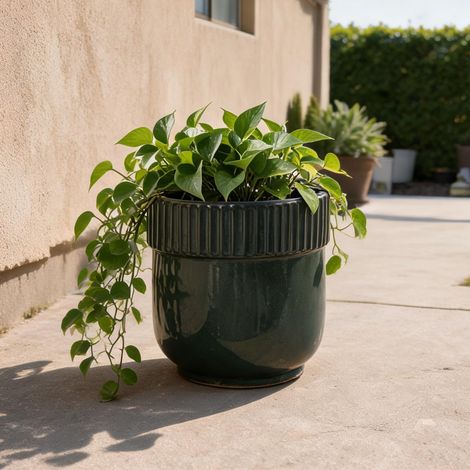 Pot de fleurs en céramique vert foncé brillant Ø 30,5 cm fait (1/5)