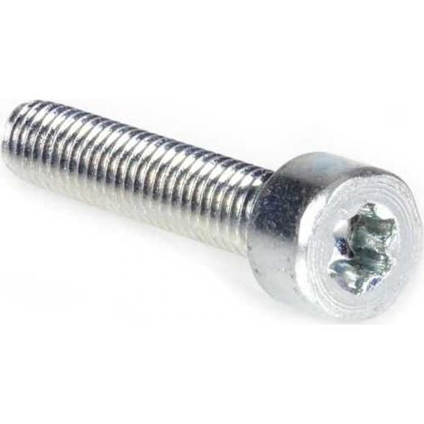 Vis Torx 27 M6 x 30 pour découpeuse Stihl TS700 TS800 (1/4)