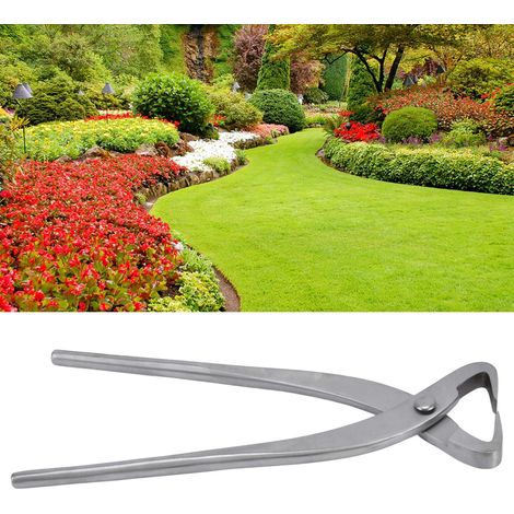 210 mm Edelstahlzange – Professionelles Bonsai-Formwerkzeug (1/5)