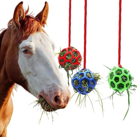 3 Pièces Balles à Foin pour Chevaux Suspendue (1/5)