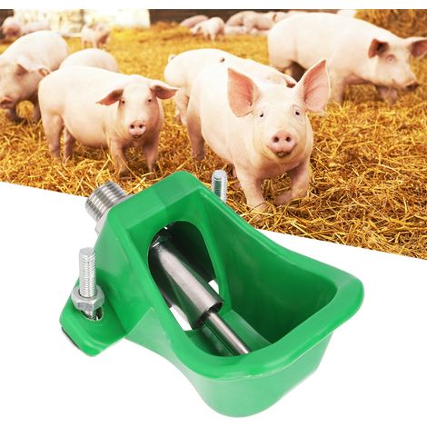 Porcelets en plastique, élevage de porcelets, moutons et chèvres, mangeoire et abreuvoir (1/5)
