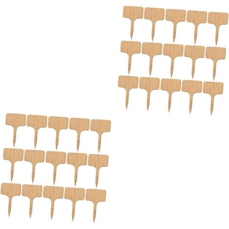 2 Ensembles Étiquettes Pour Plantes De Marqueurs De Jardin Étiquettes Réutilisables Pour Identification De Plantes Fleurs Accessoires De Jardinage Pratiques 30 Pièces 2 (1/5)