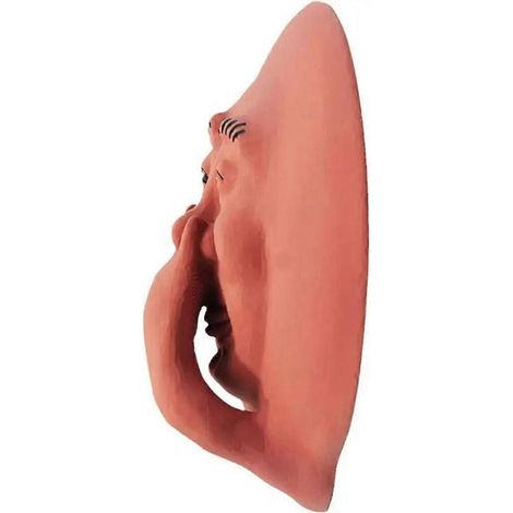 Statuette murale humoristique en résine représentant un visage puant et amusant pour la salle de bain, 1 pièce -- (1/5)