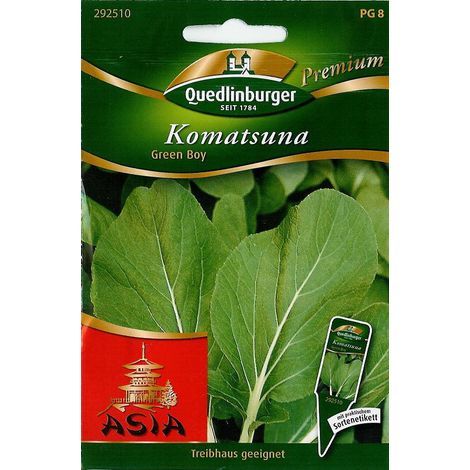 Quedlinburger Komatsuna Green Boy - Gemüsesamen (1/2)