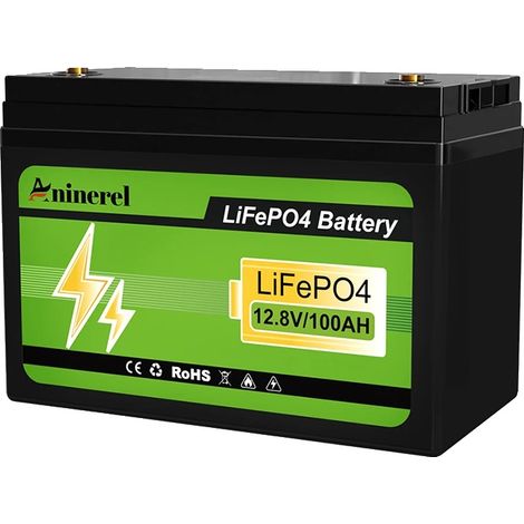 Batterie LiFePO4, capacité 100Ah, BMS intégré, 12V 100AH (1/2)