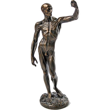 Figurine Etude Anatomique par Jean-Antoine Houdon (1/4)