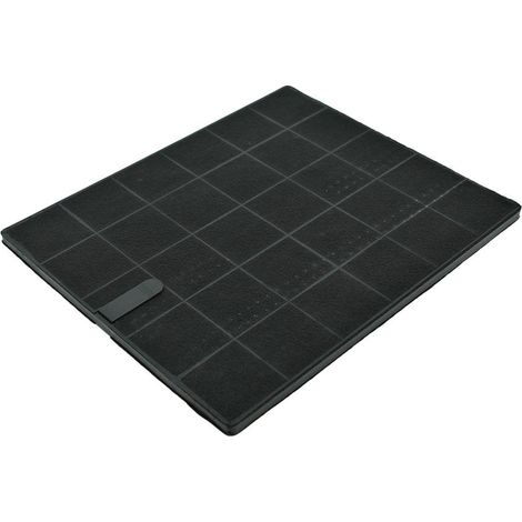 Koolstoffilter geschikt voor Foster 9700400 (1/5)