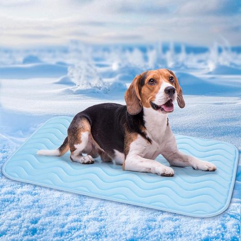 Tapis Rafraichissant Chien Chat, 75x50cm Tapis Rafraichissant pour Chien, Soie Glacée Respirant, Coussin Rafraîchissant Lavable, Durable, Idéal pour Les Animaux de Compagnie en été, Bleu