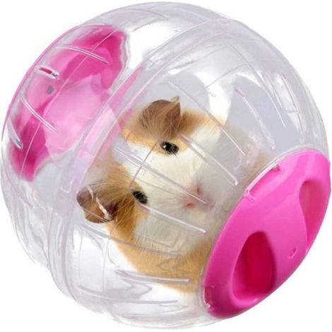 Boule D Exercice - Hamster - 12 Cm - Plastique - Rose - 1 Piece (1/5)