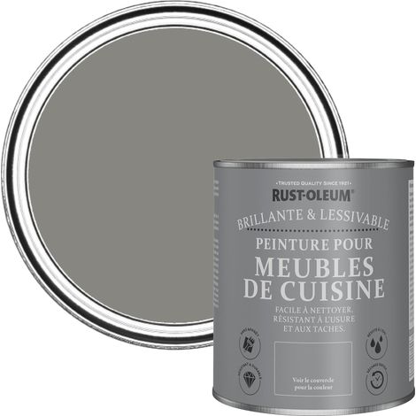 Peinture Grise pour Meubles de Cuisine, Finition Brillante - Béton 750ml (1/5)