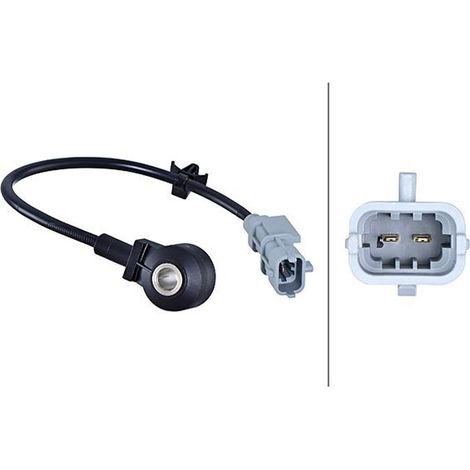 Capteur de cognement HELLA 6PG 013 114-381 HYUNDAI 392502B000