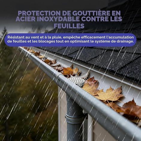 Gutter Crapaudine, Rain Water Filter, Steel Gutters (90-110mm) (1/4)