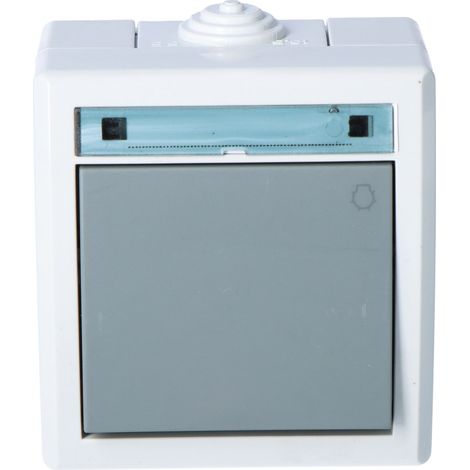 Interruttore della luce, montaggio superficiale, IP55, grigio, AQUANT (1/3)