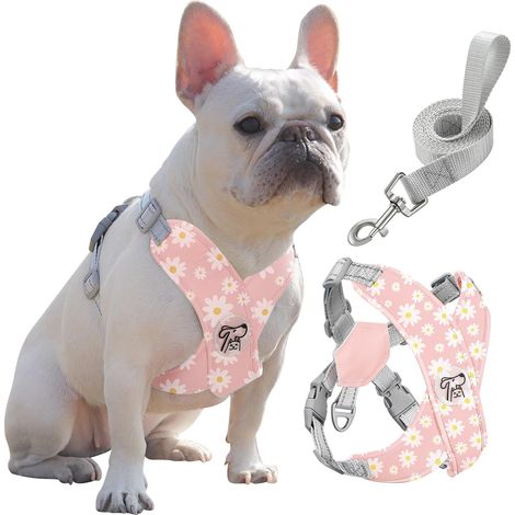 Harnais pour Chiens avec Laisse, Harnais Sécurisé Anti-Traction en Forme de X, Veste pour Chiens de Petite & Moyenne Taille, Ceinture de Sécurité d'animaux Réglable, L, Marguerite Rose (1/5)