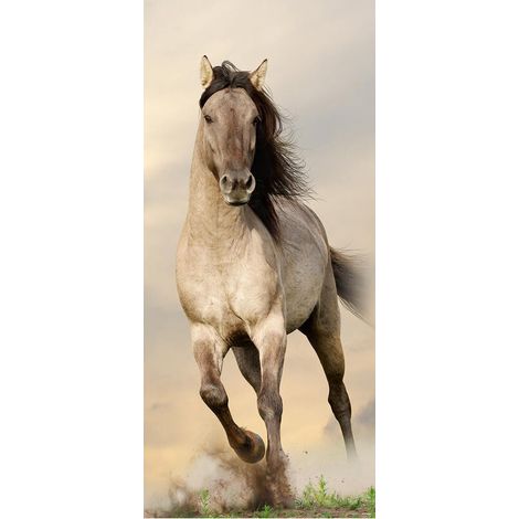Galloping horse, intissé photo mural, 90 x 202 cm, 1 part (1/3)