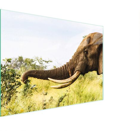 Planche à découper en verre 30x22 éléphant (1/5)