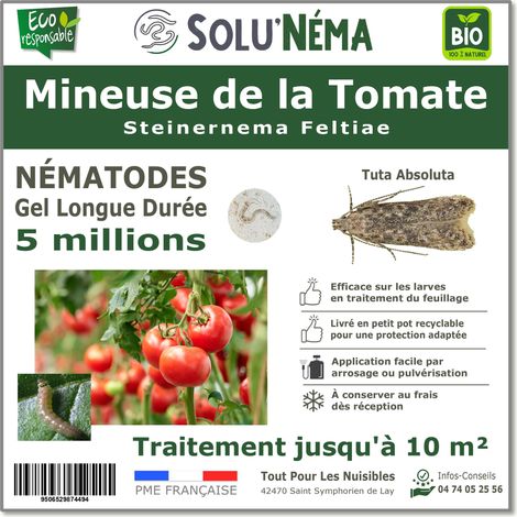 Traitement Mineuse de la tomate - 5 Millions Nématodes SF