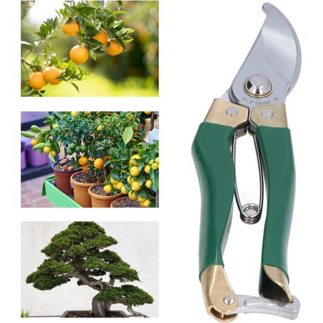 Ciseaux de Jardinage Économiseurs d'Effort pour la Taille des Arbres et des Plantes - Idéals pour les Professionnels et les Amateurs - Vert-KZQ