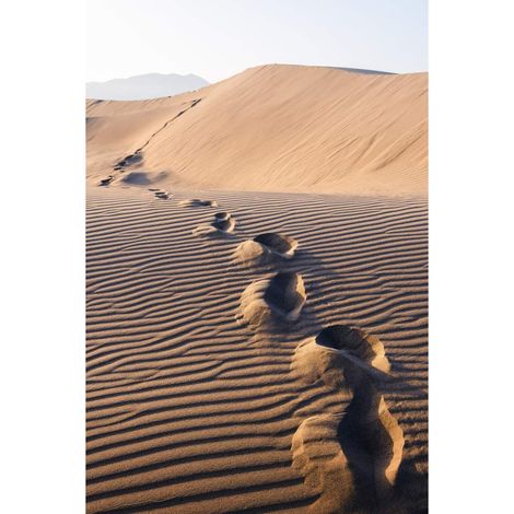 Tableau sur verre synthétique pas sur dunes 65x97 cm - Impression sur Verre synthétique - Image HD imprimée sur Verre synthétique - Tableau mural décoratif - Fabriqué en France (1/5)