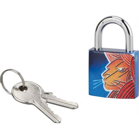 THIRARD - Cadenas à clé Lion, acier, intérieur, anse acier, 30mm, 3 clés - THIRARD
