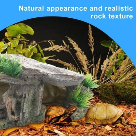 1 Article Aquarium Tortue deau Abri pour Reptiles,Terrarium pour Tortue,Cachette abri pour Tortue Rampe pour Tortue Décoration d (1/5)