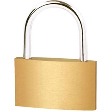 Cadenas Universel en Laiton 60 mm avec 3 Clés, Anse Longue/Courte pour Casiers, Abri de Jardin et Sac à Dos (1/5)